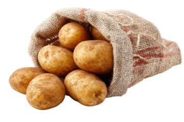 Potatoes in a burlap sack (3)