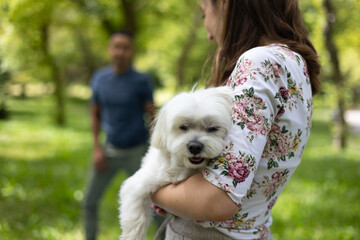 Woman holding her small maltese dog in a park with a man standing in the background