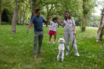 Fototapeta premium Happy family swinging daughter in park while walking their maltese dog