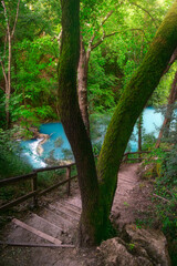 Obraz premium Elsa River and a tree along the Sentierelsa trail. Colle di Val d'Elsa, Tuscany, Italy