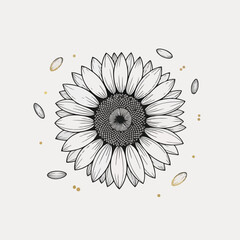 Black & White Line Art Sunflower, Minimalist Black and White Line Art Sunflower Illustration