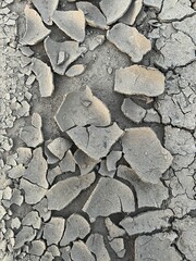 Dry cracked earth texture. Drought. Soil erosion. Abstract background. Global warming. Climate change. Drought concept