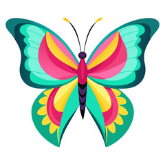 colorful butterfly vector
