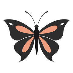 minimal butterfly vector 