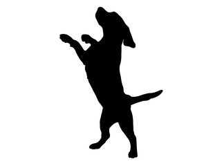 Canine Silhouette Vector in Black