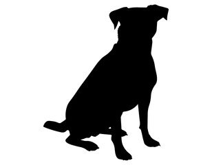 Sitting Dog Outline Icon Vector