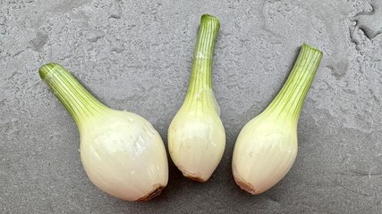 Top view of three small onions placed side by side gray wet background.