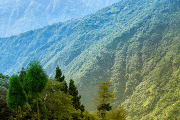 Obraz premium Scenic beauty of Green forests of Himalayan mountains, Okhrey, sikkim, India. Okhrey village is remote place in Sikkim where peaceful, tranquil Himalayan mountain range is enjoyed by tourists.