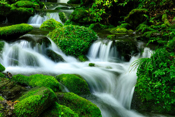 장전이깨계곡, 이끼폭포