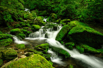 장전이깨계곡, 이끼폭포