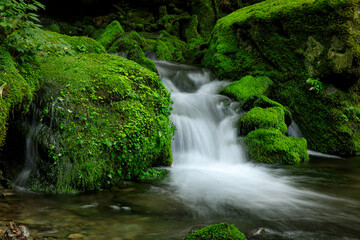 장전이깨계곡, 이끼폭포