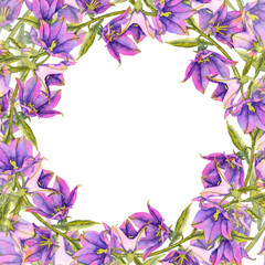 Watercolor illustration of purple bellflower with green stem frame. for packaging of natural cosmetics, home fragrances herbal tea greeting cards, wedding decor botanical books and textile prints.