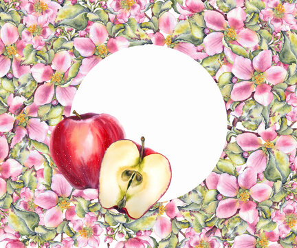 Watercolor composition red apples fruit surrounded by floral frame pink apple blossoms, green leaves. for juice labels food packaging organic branding cookbooks eco cosmetics and festive promotions - Powered by Adobe