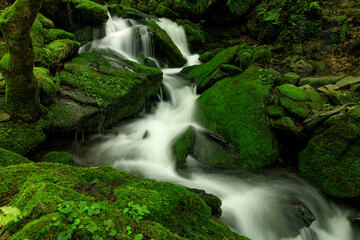 Obraz premium 장전이깨계곡, 이끼폭포