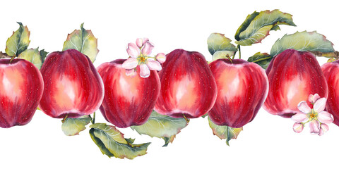 Watercolor illustration of a red apple with blooming pink apple flowers and green leaves seamless border. Botanical, hand-painted style. Suitable for food, garden and seasonal design themes.