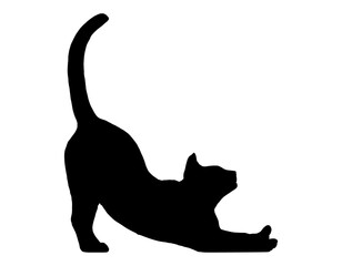 Elegant Pet Cat Silhouette for Print and WebClassic Silhouette of a Sitting Feline

