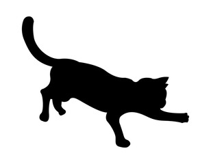Silhouette of Domestic Cat in Vector Format