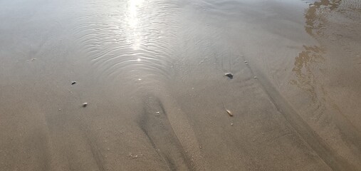 Soft waves ripple over wet sand as sunlight reflects gently, creating a calming, meditative background. Tiny shells and subtle patterns whisper the quiet rhythm of the shore’s timeless serenity.