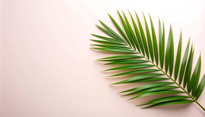 Obraz premium Vibrant Palm Leaf Against a Delicate Pastel Background
