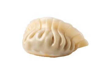 Single, uncooked dumpling against a black background.