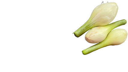 Top view of three small onions placed side by side on right corner. Isolated PNG image with transparent background, perfect for food design, recipe visuals, or culinary projects