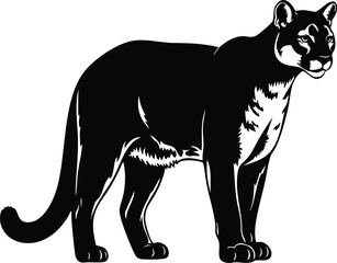 Obraz premium Black Panther Cougar Puma Big Cat Vector Illustration