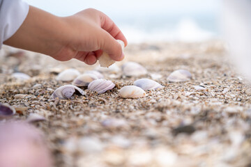 夏の幸せな冒険　海岸での自然とのふれあい