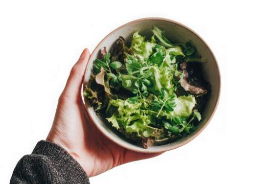 Hand holding a bowl of fresh green salad. - Powered by Adobe