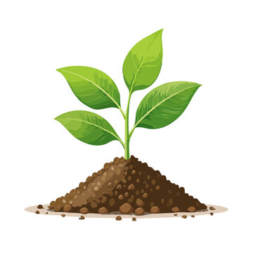 green sprout growing in brown soil clip art preview