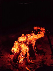 fire in the forest