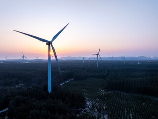 wind power station in forest