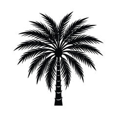 Obraz premium Black and white date palm tree silhouette icon