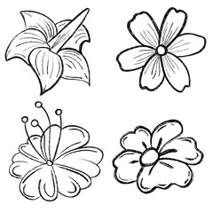 Elegant hand-drawn flower set—lily, daisy, hibiscus, poppy—in black ink sketch style, botanical outlines for artistic, vintage, nature-themed designs