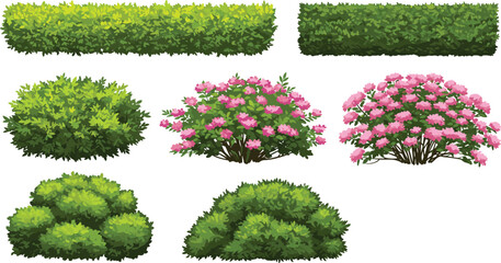 Cartoon hedge and flowering bushes collection, vibrant garden shrubs and green foliage design for landscape, backyard, park, or floral border