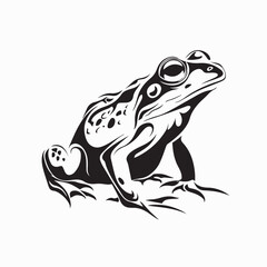  African Bullfrog Vector Design Amphibian Animal Illustration on white background