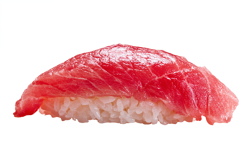 Fresh Tuna Nigiri Sushi isolated on white transparent background
