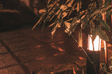 熊本県黒川温泉宿の夜の風景