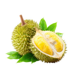 Fototapeta premium Fresh durian fruit, halved, with leaves (2)