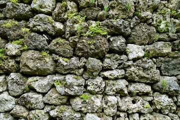古い石垣　石垣島フルスト原遺跡　沖縄
