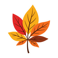 Colorful autumn leaves in various shades of orange and red  