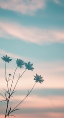 Obraz premium Silhouetted flowers and other plants against a sunset or sunrise sky. Summer evening nature scene with colorful clouds background for summer or spring banner or post. 
