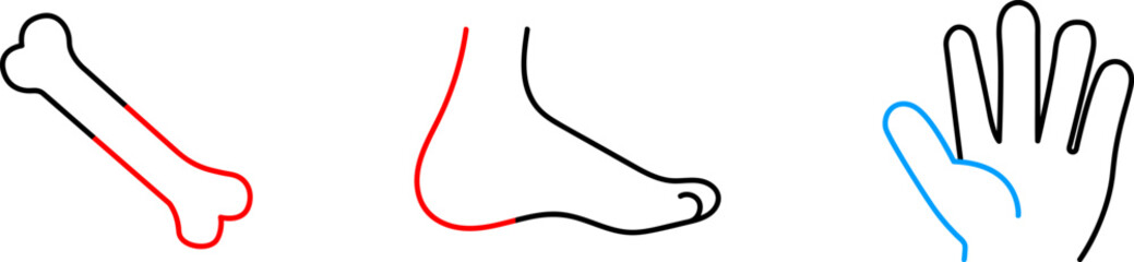 Medical organs line icon set. Vector pictograms of body parts, anatomy, kidney, pancreas, intestine, thyroid, bladder, pelvis, skeleton, joint, tongue, hand, nose, mouth, thin linear illustration