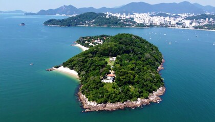 Aerial view of a lush island