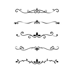 Hand drawn calligraphic dividers. Swirl victorian borders. Vector isolated royal decor separators. Classic wedding invitation calligraphic lines.
