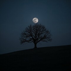 Fototapeta premium moon and tree