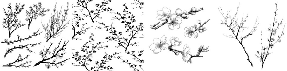 Cherry blossom branches in black silhouette on a white background with hand drawn modern design elements