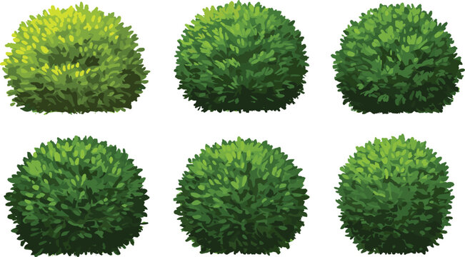Set of lush green cartoon bushes with rounded foliage, isolated decorative shrub elements for landscaping, gardening, nature, park or yard design