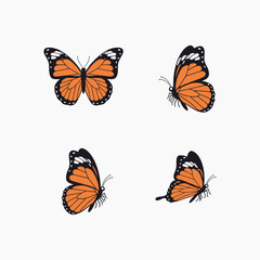 Cute Butterflies Cartoon Set