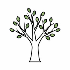 Stylized illustration of a deciduous tree with green leaves and bare branches on a white background