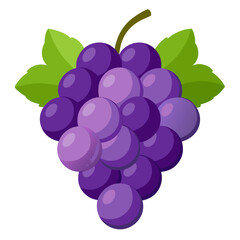 Grapes on Transparent White Background – High-Resolution Isolated